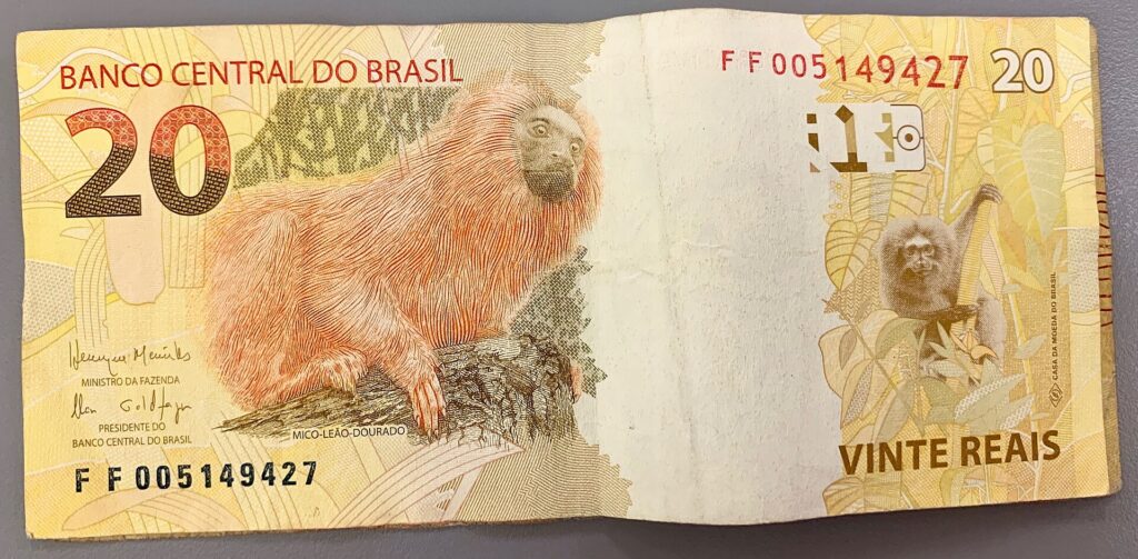 Notas de real: o fundo eleitoral mostra quanto custa uma eleição só em dinheiro público para campanhas
